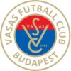 Vasas SC football club