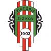 Viktoria Žižkov football club