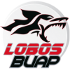 Lobos BUAP football club