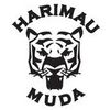 Harimau Muda football club