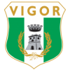 Vigor Lamezia football club