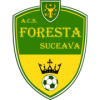 Foresta Suceava football club
