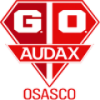 Grêmio Osasco Audax football club