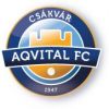 Csákvári TK football club