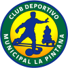 Deportes La Pintana football club