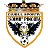 Șoimii Pâncota