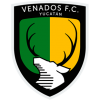 Venados FC football club