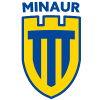 FCM Baia Mare football club