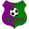 Viitorul Domnesti football club