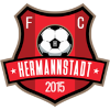 FC Hermannstadt football club