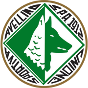 US Avellino football club