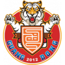 Guangdong Southern Tigers football club