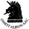Ossett Albion football club