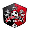 FC Fleury 91 football club