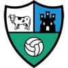 SD Borja football club