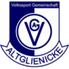 VSG Altglienicke football club