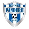 Viitorul Târgu Jiu football club