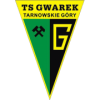 Gwarek Tarnowskie Góry football club