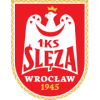 Sleza Wroclaw football club