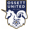 Ossett United football club