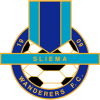 Sliema Wanderers football club