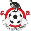 GD Vilar de Perdizes football club