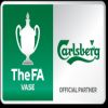 FA Vase