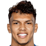 Gabriel Veron Fonseca De Souza