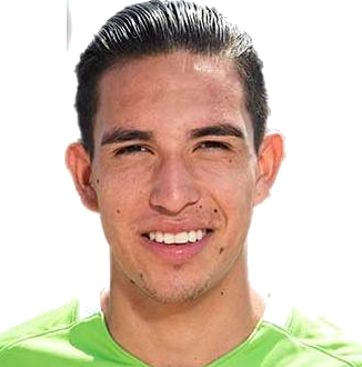 Francisco Javier Nevarez Pulgarin