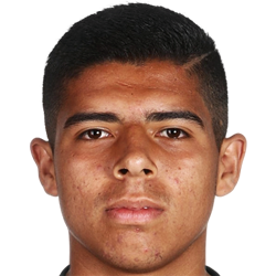 Víctor Andrés Guzmán Olmedo