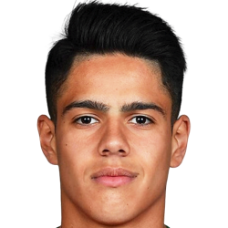 Tiago Miguel Hora Ribeiro