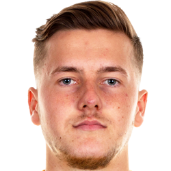 Francis William Vincent