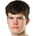 Meinardas Mikulėnas