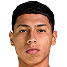 Erick Anthony Perleche Cruzado