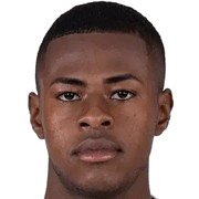 Patrickson Luiggy Delgado Villa