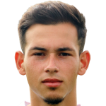 Denis Ursu