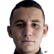 Luis Ronaldo Araya Hernández