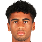 Henrique Ribeiro Pires