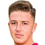 Niculae Roberto Voican