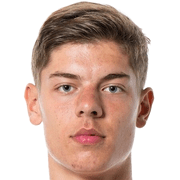 Tim Antonius Laurent Van Den Heuvel