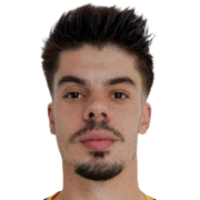 Bruno Miguel Perestrelo Alves Silva