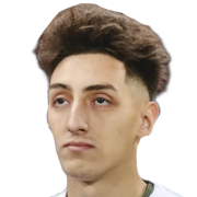 Vinícius Henrique Baracioli Maciel