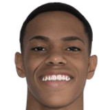 Matheus Dos Reis Francisco