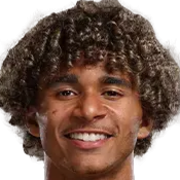 Pedro Henrique Cardoso De Lima