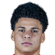 Emerson Lima Freitas