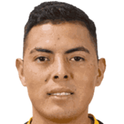 Ronald Steven Bustos Torrelio