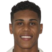 Vinicius De Souza Alves