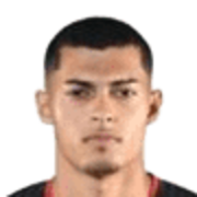 Luis Miguel Borges De Paula