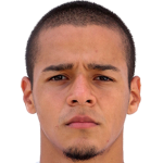 Vladimir Nedeljkovic