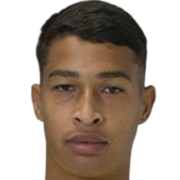 Carlos Eduardo Coutinho De Goes